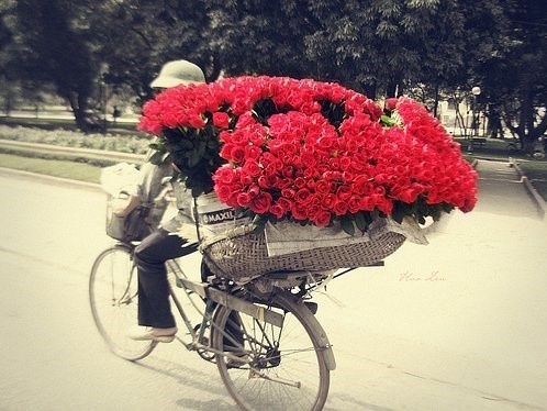 Bicicleta carregando flores / Imagens Fofas para Tumblr, We Heart it, etc