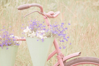 Flowers Bike / Imagens Fofas para Tumblr, We Heart it, etc