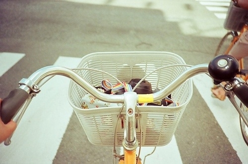 Cestinha de bicicleta / Imagens Fofas para Tumblr, We Heart it, etc
