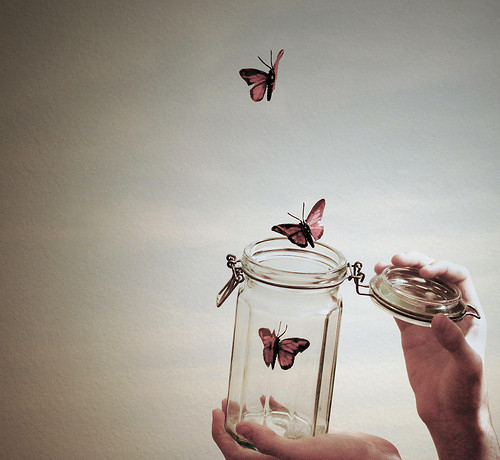 Libertando borboletas / Imagens Fofas para Tumblr, We Heart it, etc