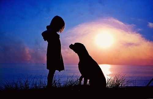 Menina com cachorro / Imagens Fofas para Tumblr, We Heart it, etc