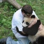 Pandas fofos do dia: 06/06/2010