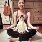 Animais fazendo yoga - Cachorro fazendo yoga 5